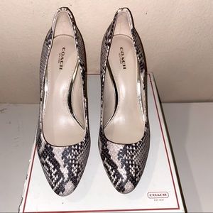 Coach Giovanna Classic Snake Print High Heel Shoe